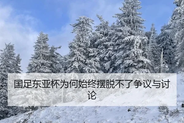 国足东亚杯为何始终摆脱不了争议与讨论