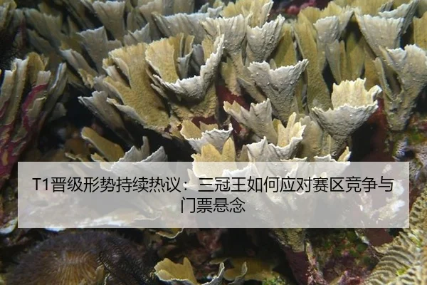 jin-ji-xing-shi-chi-xu-re-yi-san-guan-wang-ru-he-ying-dui-sai-qu-jing-zheng-yu-men-piao-xuan-nian-2-554.jpg