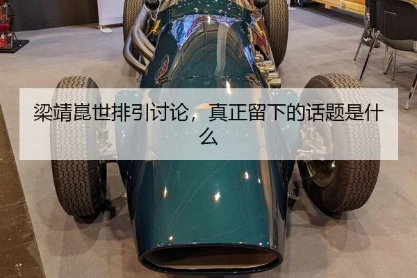 liang-jing-kun-shi-pai-yin-tao-lun-zhen-zheng-liu-xia-de-hua-ti-shi-shen-me-2-559.jpg